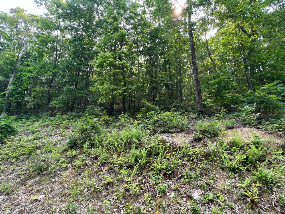 Lot 29 Katy Drive Overlook At Greenbrier, White Sulphur Springs, WV