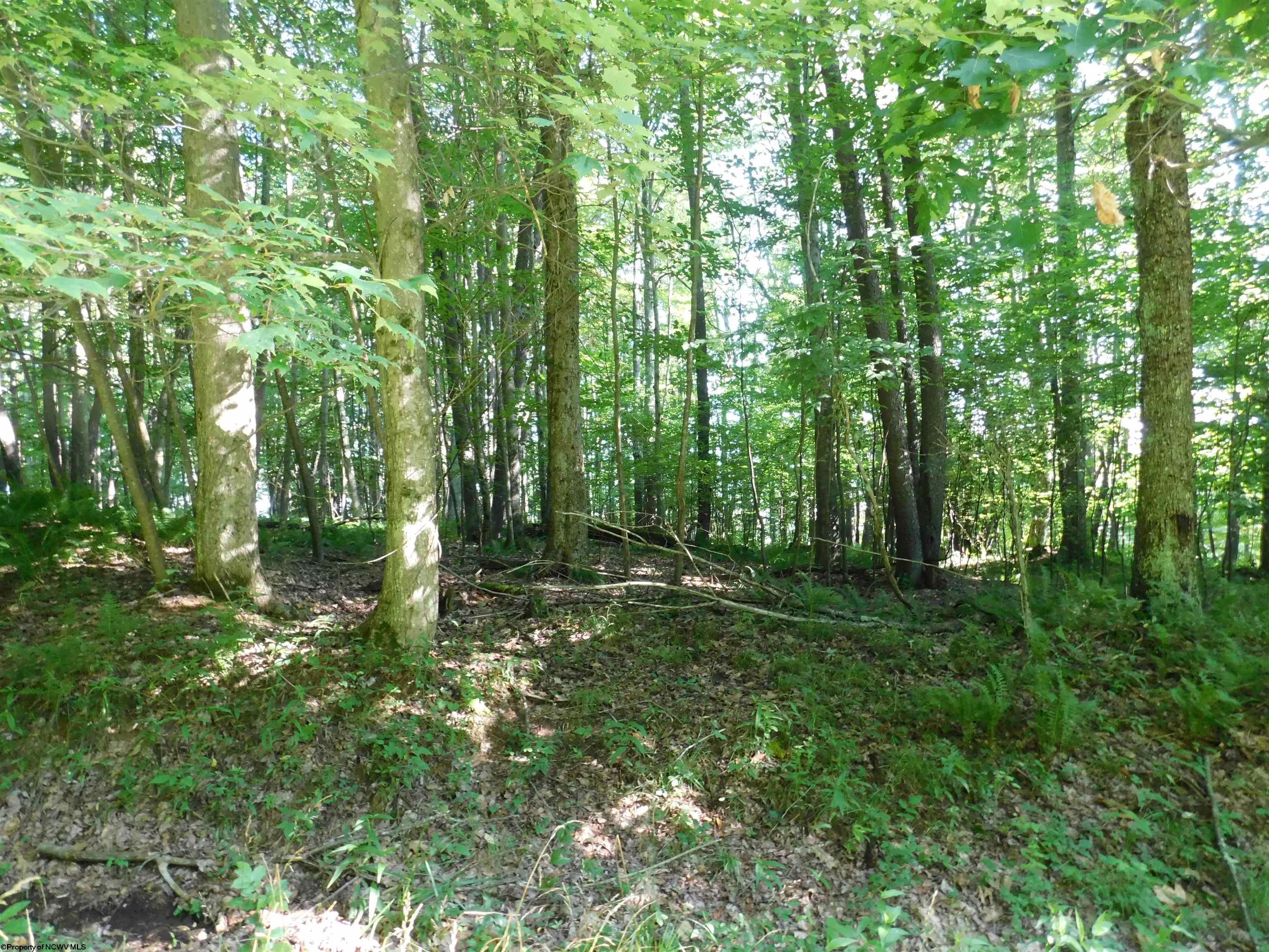 Listing view 2
