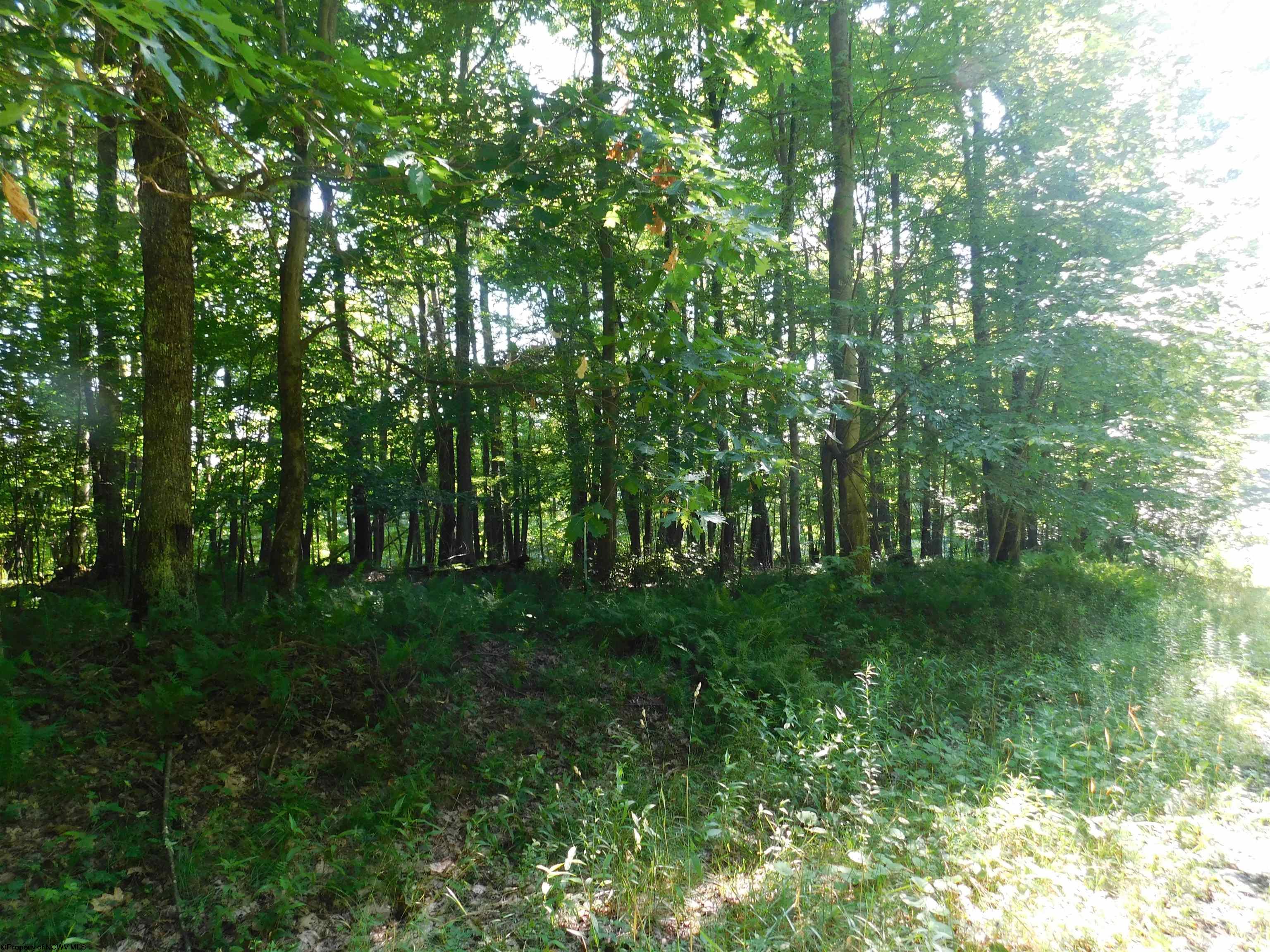 Listing view 3