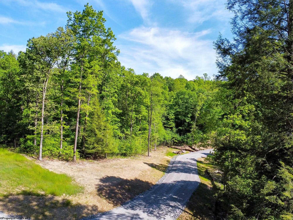 Lot 93 Laurel Loop Whitewater Preserve Loop, Bruceton Mills, WV 26525 MLS 10149324
