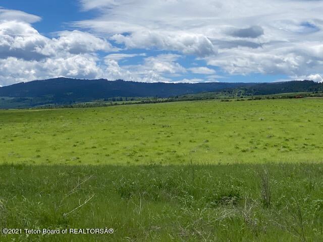 Listing view 3