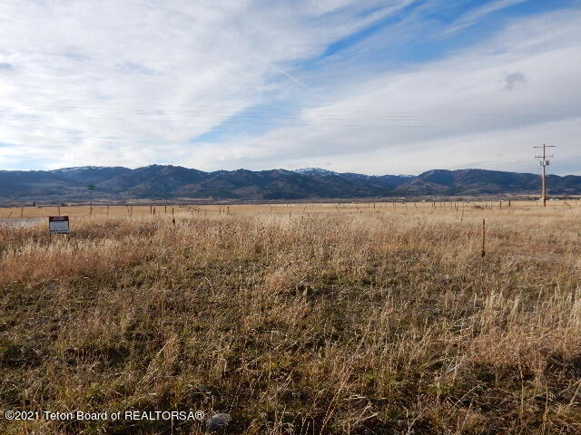 Listing view 3