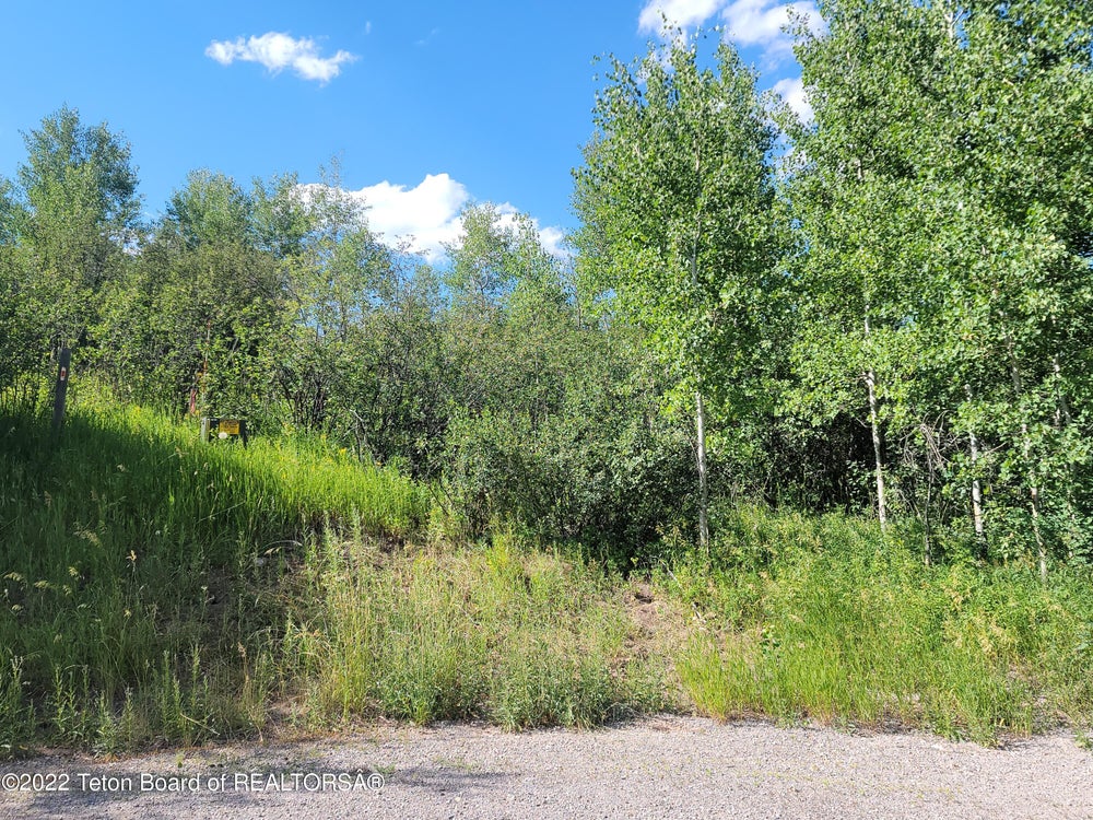 Lot 24 Quaking Aspen Way, Etna, WY 83127 MLS 24401 Coldwell Banker